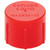 ALLSTAR PERFORMANCE `-10 Plastic Caps 10pk ALL50805