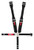 5-Way L&L  W/Ratchet on left side lap belt.  Rig CRW40044B