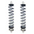 STRANGE Double Adjustable Shock Kit w/Springs (Pair) STGS5006