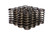 COMP CAMS .970 Dia. Inner Valve Springs- .700 ID. COM973-16