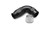 VIBRANT PERFORMANCE Hose End Fitting PTFE 90 Degree -10AN VIB28910