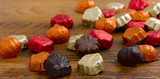 Things to Do in Vermont in the Fall | Lake Champlain Chocolates View Product Image