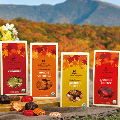 Assorted milk and dark chocolate leaf gift boxes with autumn designs and colors, sitting on a cutting board on a gray blanket on the grass with unwrapped chocolate leaves and wrapped leaves sitting in front f the boxes and  autumn colored trees in the background and a view of a mountain top.