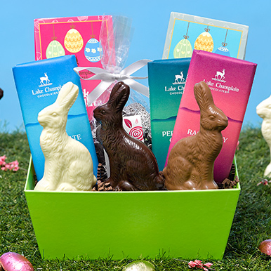 Assorted milk, dark and white chocolate bunnies with chocolate bars,  assorted milk and dark chocolate eggs and dark chooclate nonpareils in a lime green gift basket sitting on grass with a blue sky int he background.