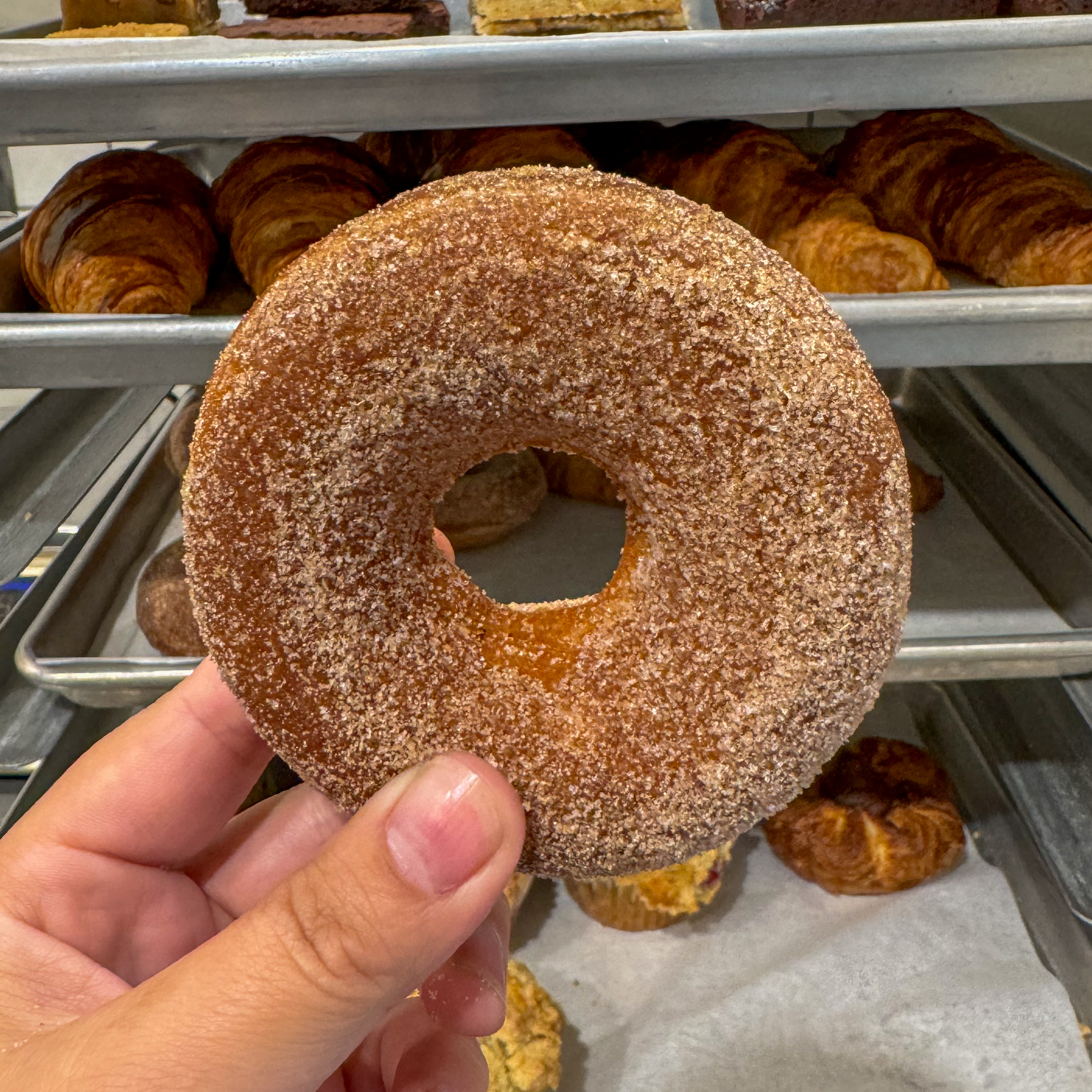 Vermont apple cider donut