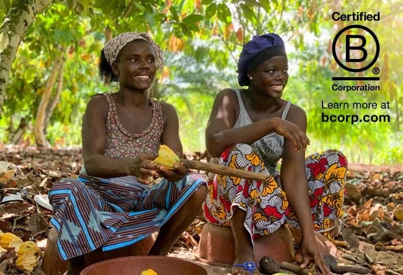 Farmers harvesting cacao beans in the Ivory Coast with Certified B Corp logo in the right hand corner.