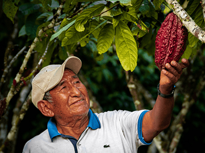 Tocache cacao farmer 