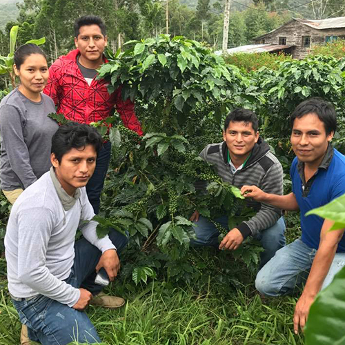 Vegan Dark Chocolate Bar Gift Set | Lake Champlain Chocolates