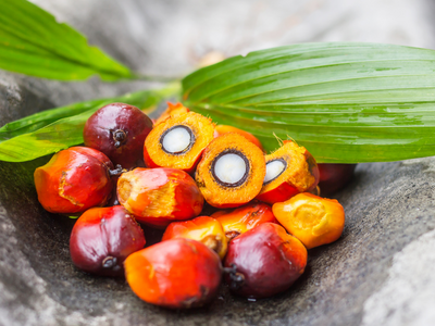 What is Palm Oil & Why is it Bad?