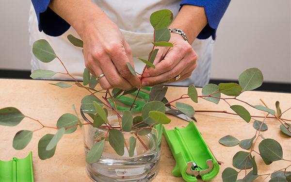 adding greenery to a floral arrangement