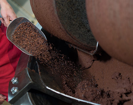 scooping cocoa beans into a melanger