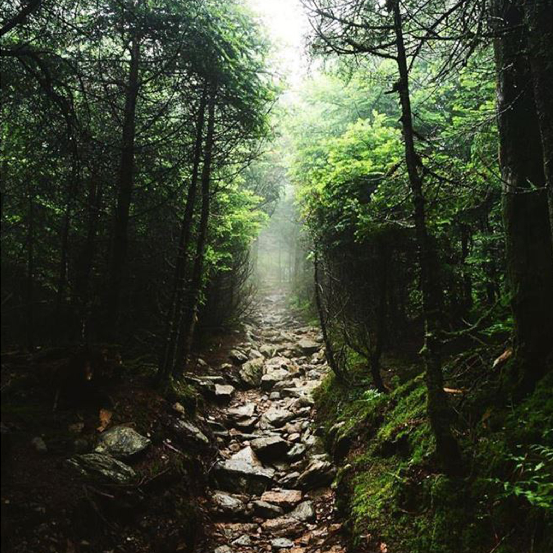 Camel's Hump hiking trail