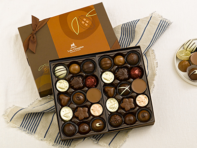 gourmet chocolate sampler gift box