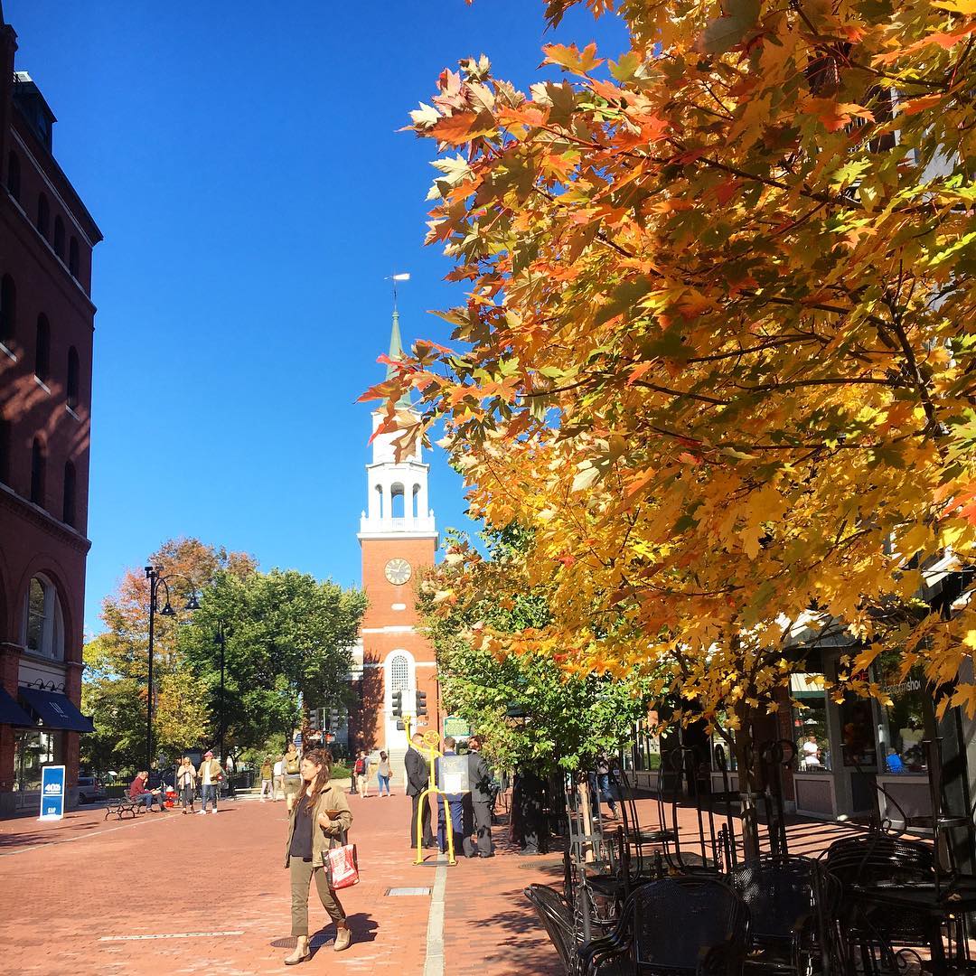 fall foliage on the Church Street Market Place