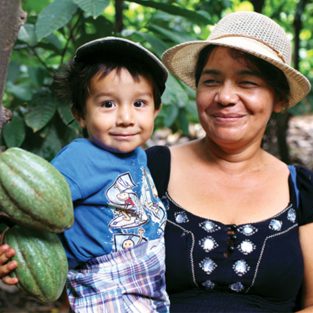 cacao farmers with cocoa pods