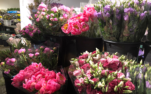 assortment of flowers to select