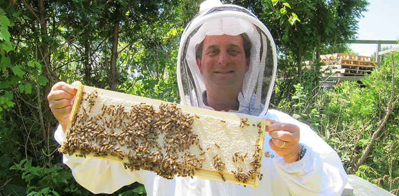 Gary Coffey holding a frame of a hive