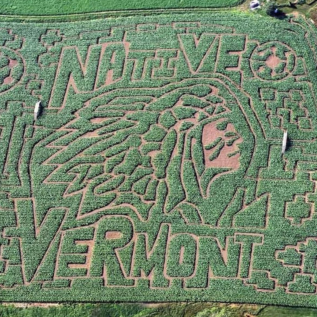 Vermont corn maze