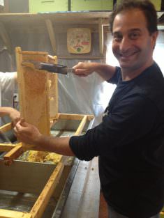 Gary harvesting honey from a frame