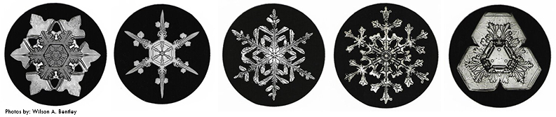 image of individual snowflakes