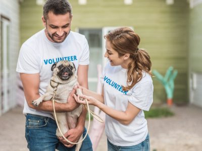 volunteering at the animal shelter