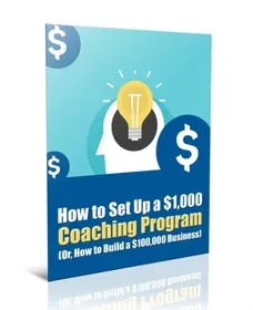 Set Up a Coaching Program digital ebook cover