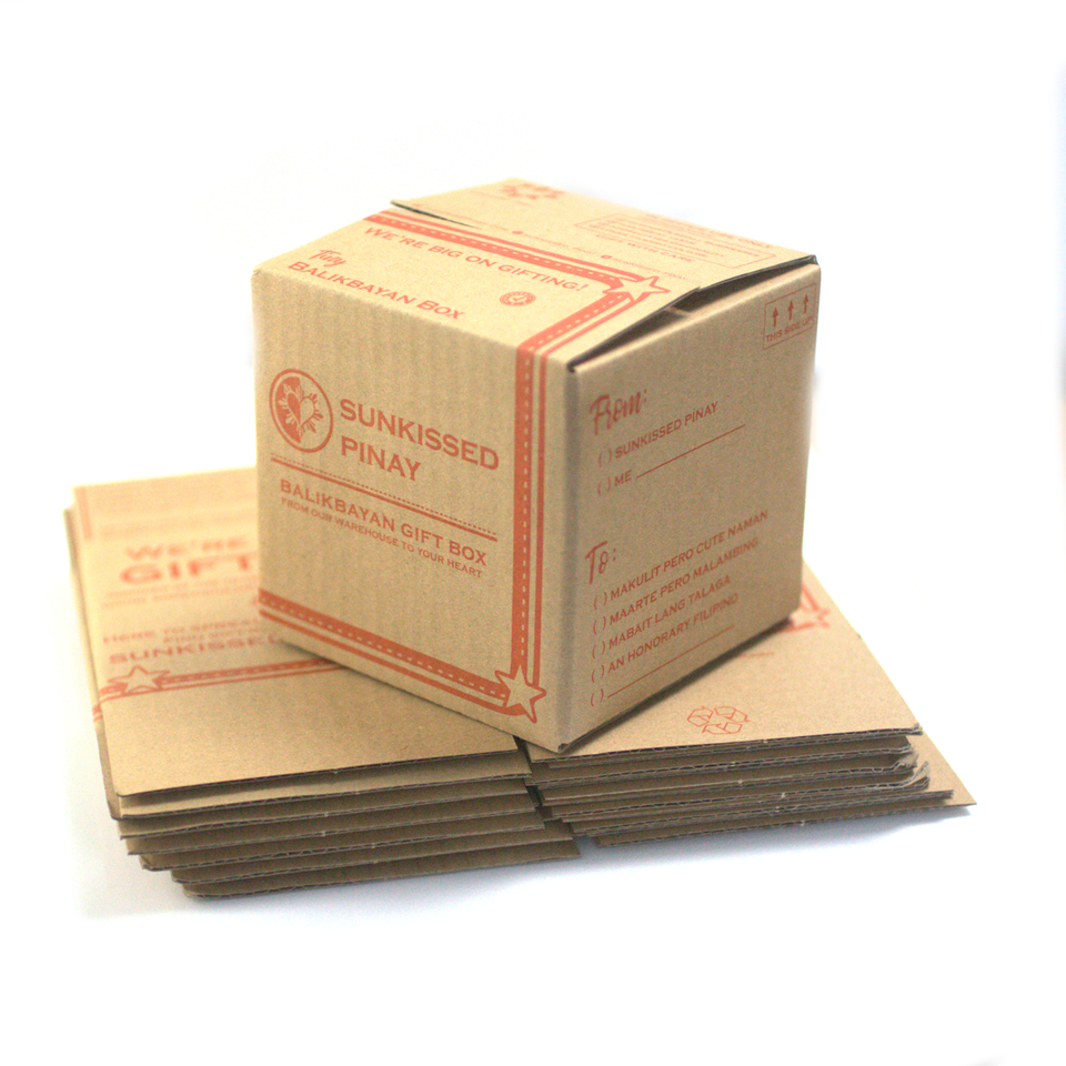 Balikbayan Mystery Box