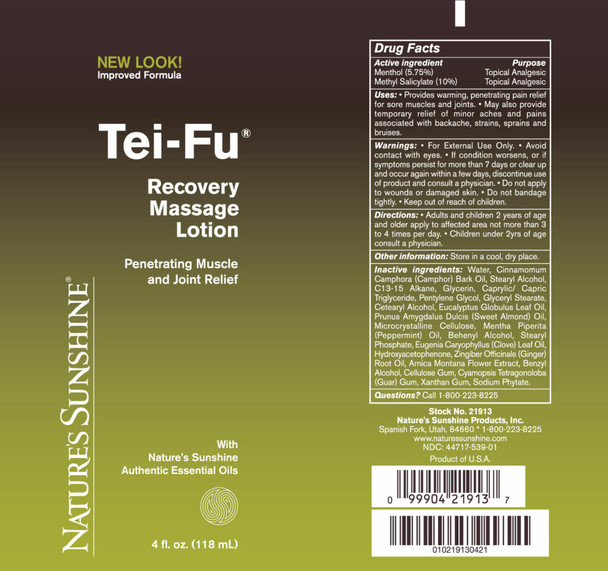 Tei-Fu® RECOVERy Massage Lotion (4 Oz)