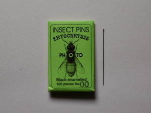 Entochrysis, Black Enamel, Clear-Headed Photo Insect Pins Entochrysis, Black Enamel, Clear-Headed Photo Insect Pins