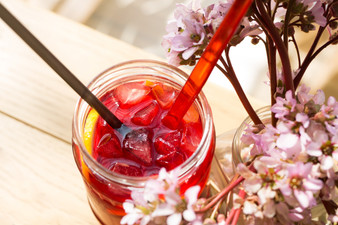 Get ready to hula into refreshment with Hibiscus Hula, a tantalizing herbal iced tea infused with the vibrant flavors of hibiscus. Experience the invigorating taste of hibiscus iced tea. Buy hibiscus iced tea online and embrace the tropical delight of Hibiscus Hula. Elevate your summer sipping with a glass of floral bliss today.