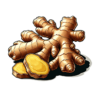 ginger root