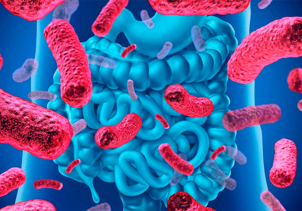 Análisis de microbiota en farmacia tellería arregui, en Ciudad de los Ángeles, Villaverde (Madrid)