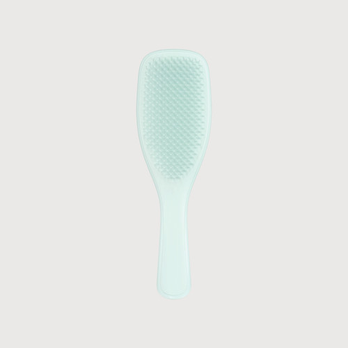 The Ultimate Detangler Fine & Fragile Ice Blue -  Spazzola districante Azzurro chiaro