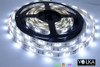 SMD 5050 30 LEDs/m cool white LED strip with epoxy cover