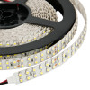 SMD 3528 240 pcs/m Non-Waterproof Double Row 19.8W/m 12V