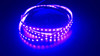 SMD 2835 120 pcs/m UV (Ultraviolet) Water-Resistant 395nm 9.6W/m 12V