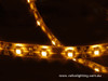 LED strip with epoxy cover 60 LEDs per metre yellow