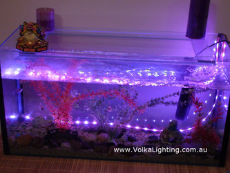 Fish Tank, Pond, Pool IP68 LED Light Kits Fish Tank, Pond, Pool IP68 LED Light Kits