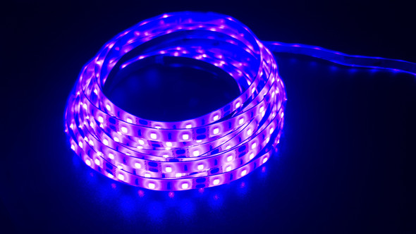 SMD 2835 60 pcs/m UV (Ultraviolet) Water Resistant 6W/m 395nm 12V
