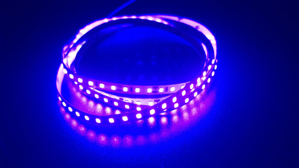 SMD 2835 120 pcs/m UV (Ultraviolet) Water-Resistant 395nm 9.6W/m 12V