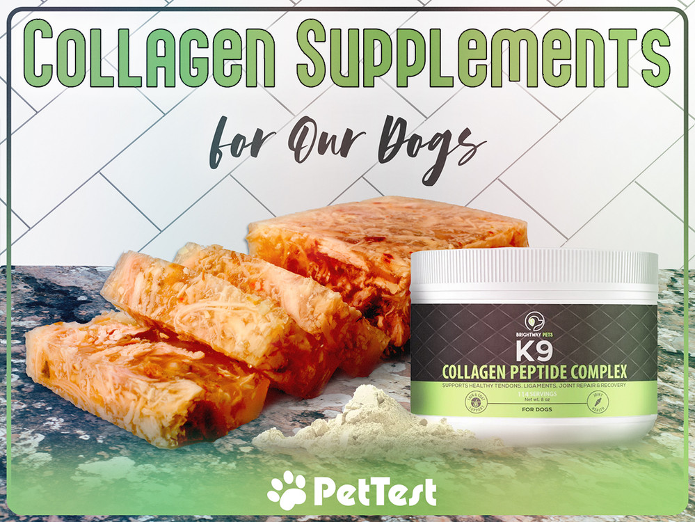Collagen Supplements for Our Dogs PetTest by Advocate