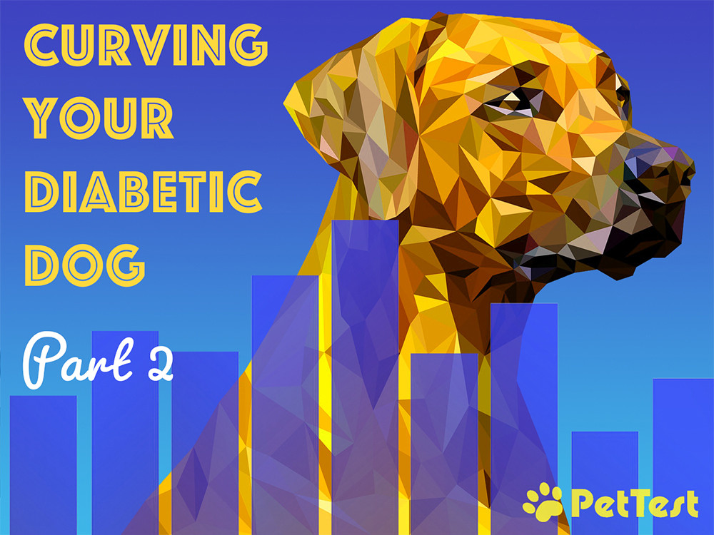 Curving Your Diabetic Dog Part 2 PetTest by Advocate