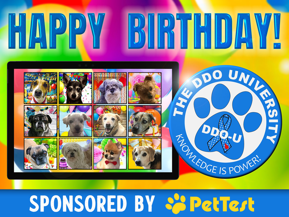 DDOU Diabetic Dog Owners University "How It Came to Be" PetTest by