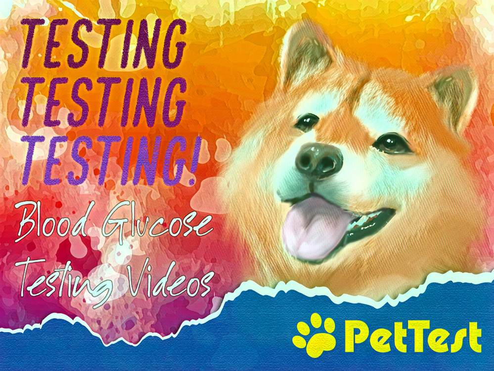 Getting a Good Blood Sample - PetTest by Advocate