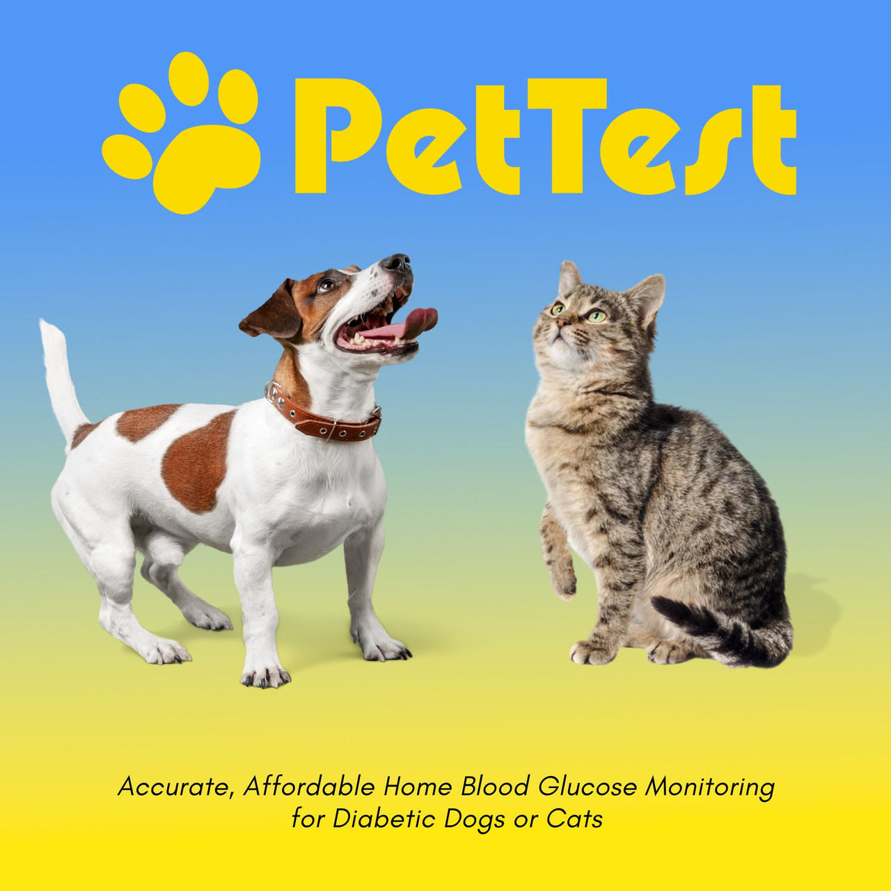 PetTest Test Strip Box 35 count