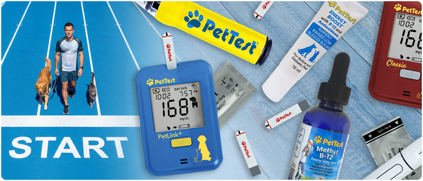 START. A man walks his dog and cat along a running track, beside PetTest PetLink+ and Classic glucose meters laid out with test strips and supplements.
