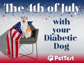 The 4th Of July With Your Diabetic Dog