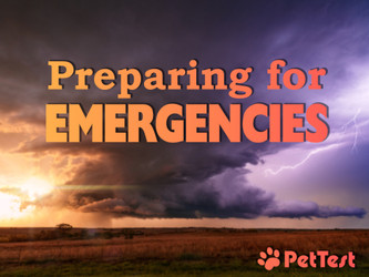Preparing for Emergencies