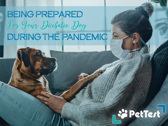 ​Being Prepared For Your Diabetic Dog During the Pandemic