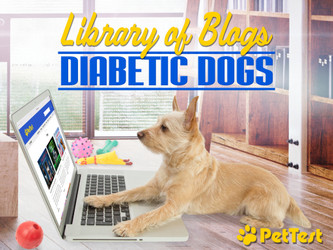 Library of Blogs - Diabetic Dogs